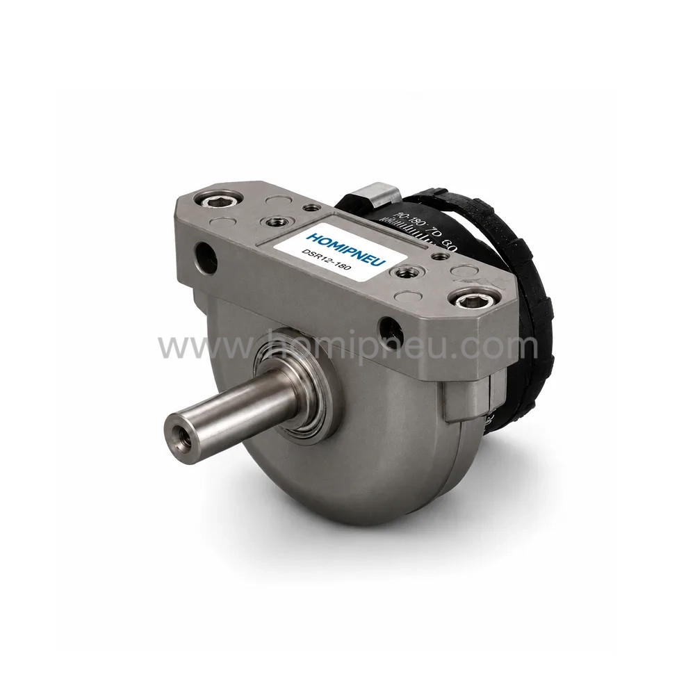DSR Series Pneumatic Rotary Actuator