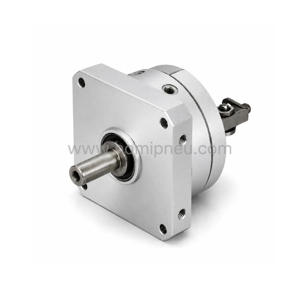 DSM Series Pneumatic Rotary Actuator