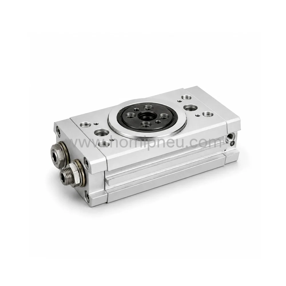 DRQD Series Pneumatic Rotary Actuator